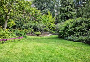 Optimiser l'expérience du jardin à Saint-Pe-de-Leren